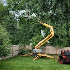 Best Lawn Mowing  in Rocky Point, WA