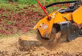 Best Pest Control for Lawns  in Rocky Point, WA